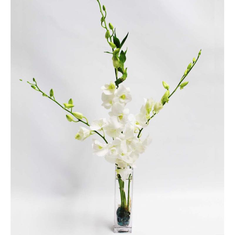 Fresh Cut Small Orchid Bunch in Glass Vase - White